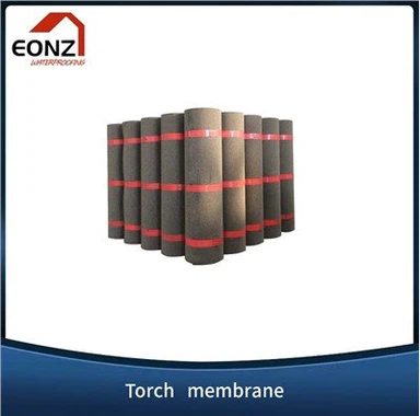 APP модифицирана мембрана